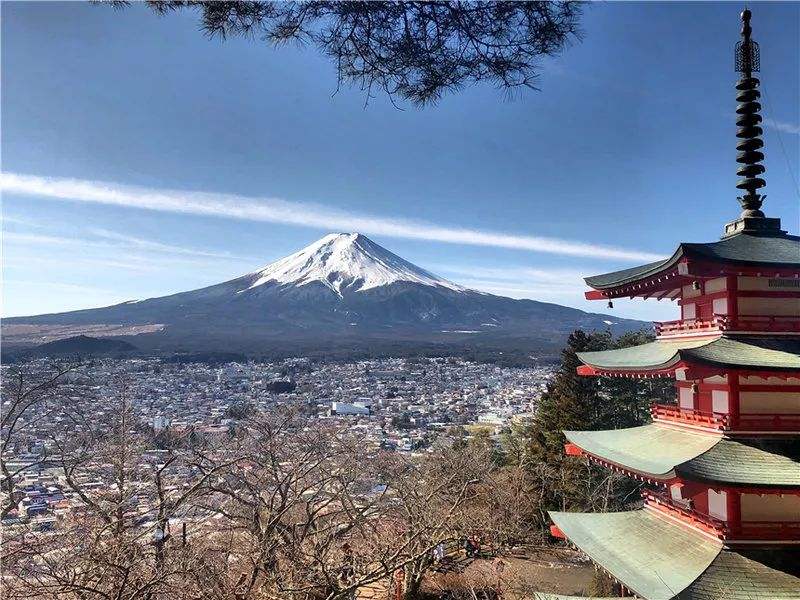 日本留学签证